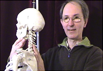 Alexander Technique Vienna Anatomy Teacher, Herbert Steger